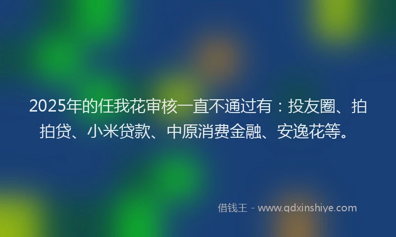 2025年的任我花审核一直不通过有：投友圈、拍拍贷、小米贷款、中原消费金融、安逸花等。