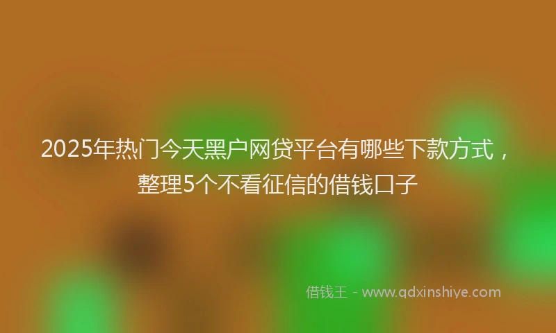 2025年热门今天黑户网贷平台有哪些下款方式，整理5个不看征信的借钱口子