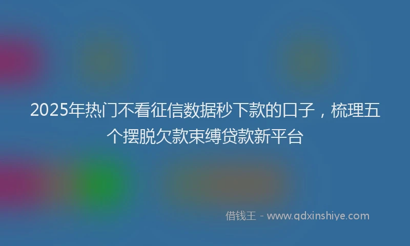 2025年热门不看征信数据秒下款的口子，梳理五个摆脱欠款束缚贷款新平台
