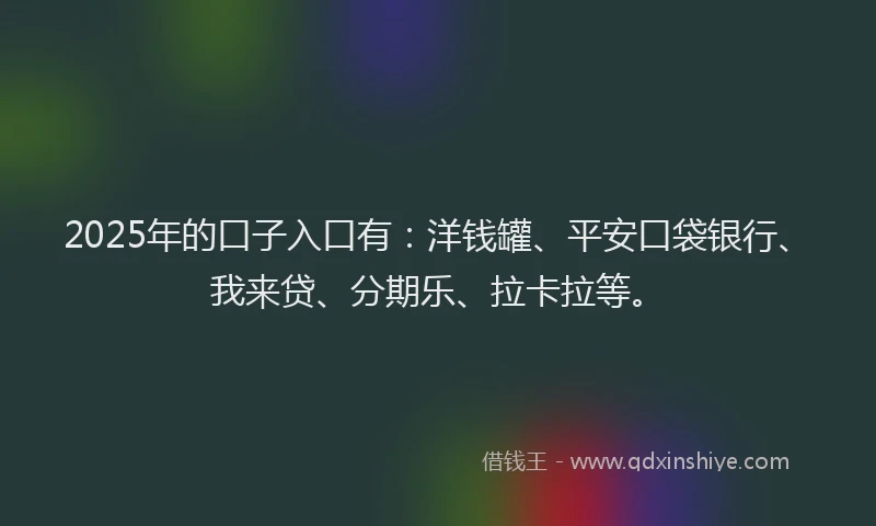 2025年的口子入口有：洋钱罐、平安口袋银行、我来贷、分期乐、拉卡拉等。