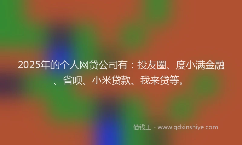 2025年的个人网贷公司有：投友圈、度小满金融、省呗、小米贷款、我来贷等。