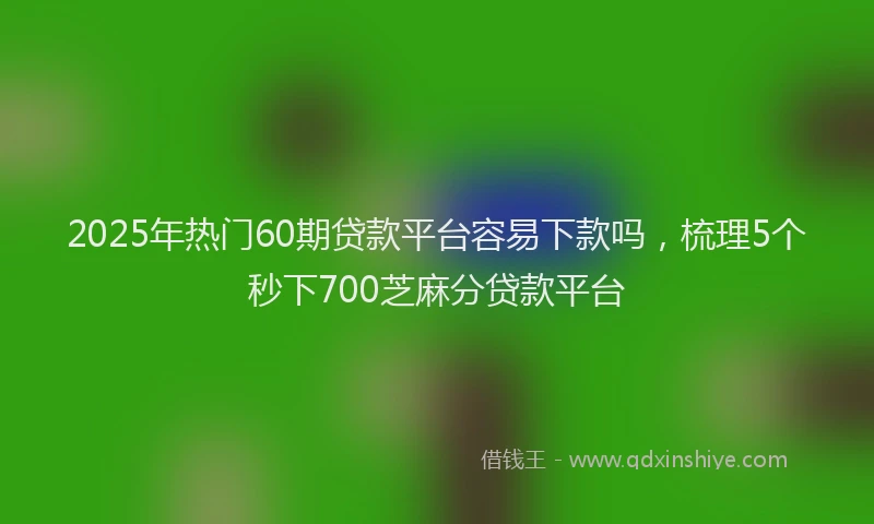 2025年热门60期贷款平台容易下款吗，梳理5个秒下700芝麻分贷款平台