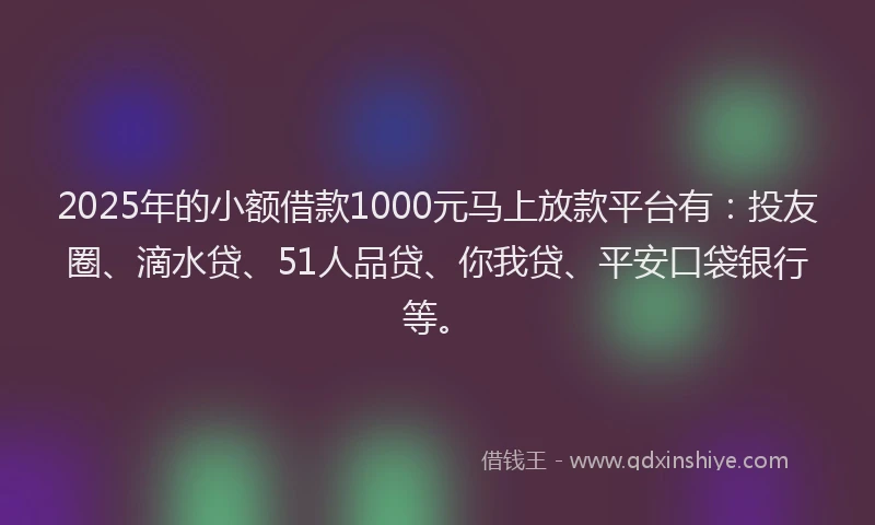 2025年的小额借款1000元马上放款平台有:投友圈、滴水贷、51人品贷、你我贷、平安口袋银行等。