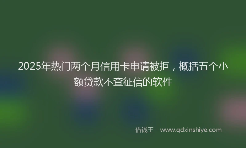 2025年热门两个月信用卡申请被拒，概括五个小额贷款不查征信的软件