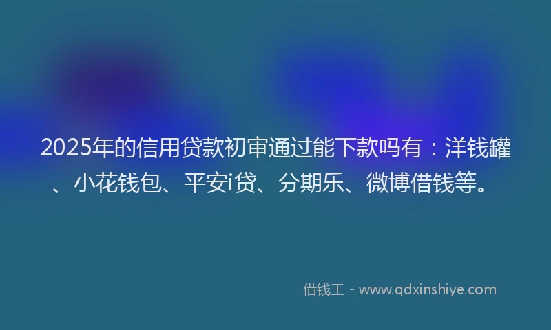 2025年的信用贷款初审通过能下款吗有：洋钱罐、小花钱包、平安i贷、分期乐、微博借钱等。