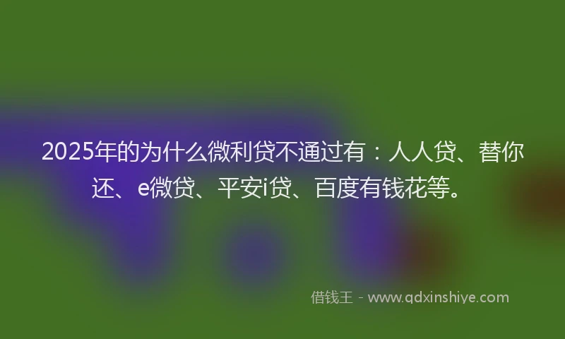 2025年的为什么微利贷不通过有：人人贷、替你还、e微贷、平安i贷、百度有钱花等。