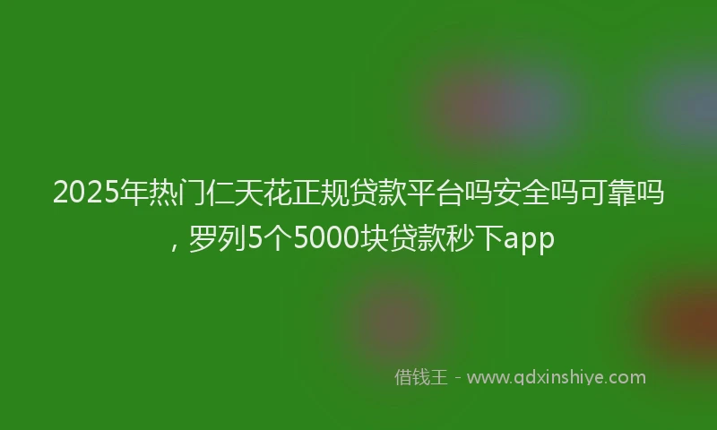 2025年热门仁天花正规贷款平台吗安全吗可靠吗，罗列5个5000块贷款秒下app