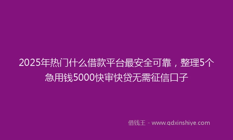 2025年热门什么借款平台最安全可靠，整理5个急用钱5000快审快贷无需征信口子
