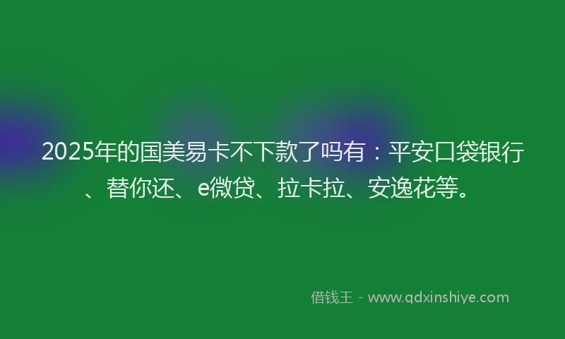 2025年的国美易卡不下款了吗有：平安口袋银行、替你还、e微贷、拉卡拉、安逸花等。