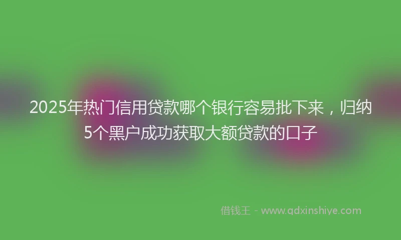 2025年热门信用贷款哪个银行容易批下来，归纳5个黑户成功获取大额贷款的口子