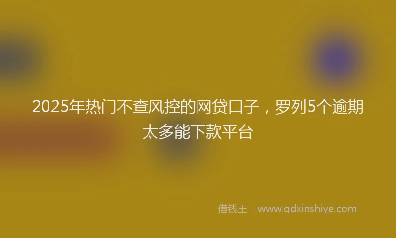 2025年热门不查风控的网贷口子，罗列5个逾期太多能下款平台