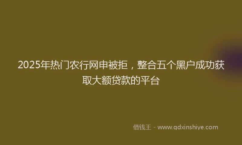 2025年热门农行网申被拒，整合五个黑户成功获取大额贷款的平台