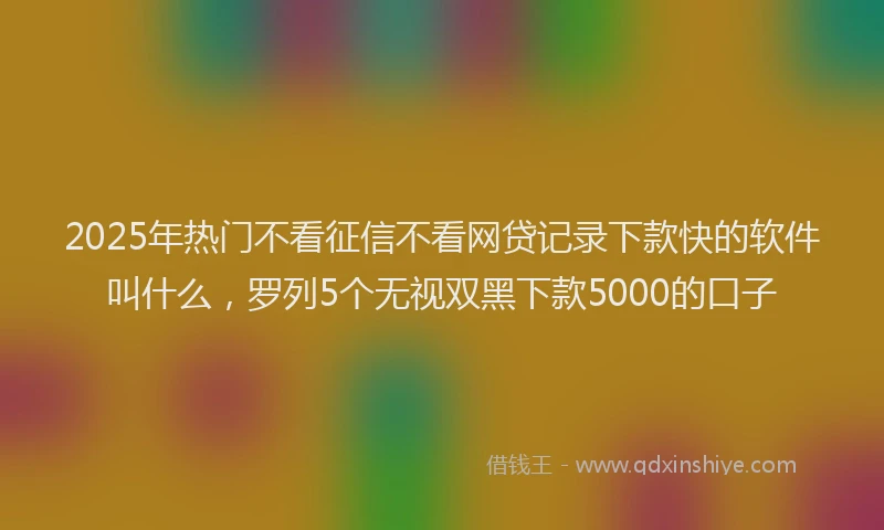 2025年热门不看征信不看网贷记录下款快的软件叫什么，罗列5个无视双黑下款5000的口子
