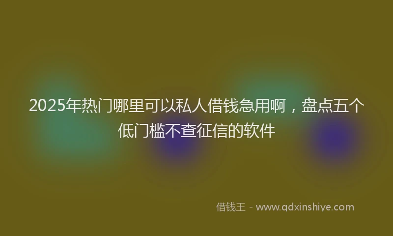 2025年热门哪里可以私人借钱急用啊，盘点五个低门槛不查征信的软件