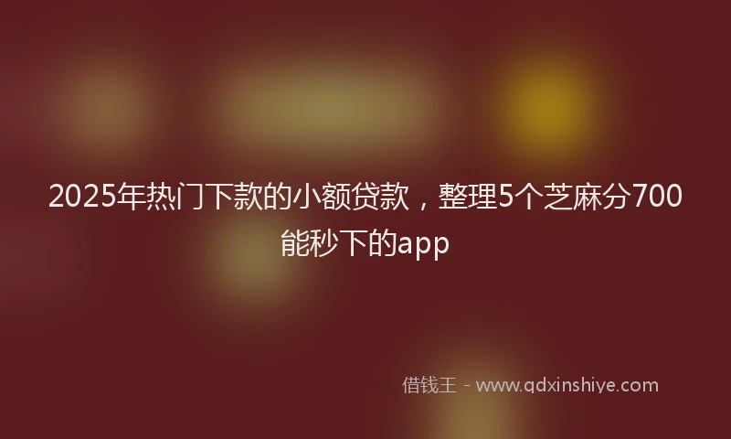 2025年热门下款的小额贷款，整理5个芝麻分700能秒下的app