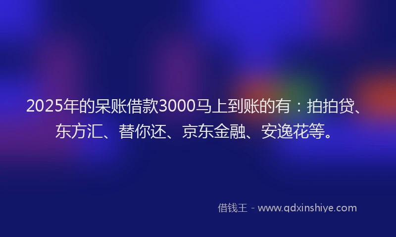2025年的呆账借款3000马上到账的有：拍拍贷、东方汇、替你还、京东金融、安逸花等。