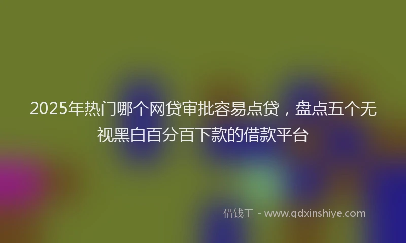 2025年热门哪个网贷审批容易点贷，盘点五个无视黑白百分百下款的借款平台