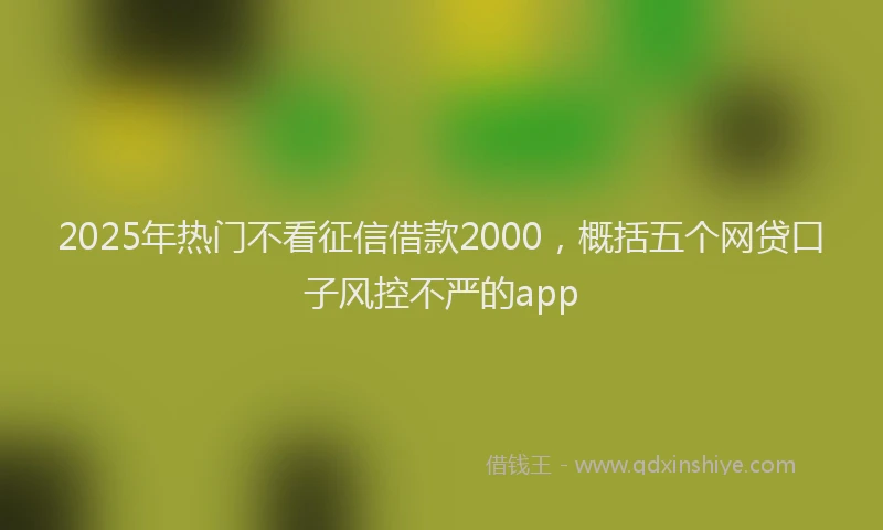 2025年热门不看征信借款2000，概括五个网贷口子风控不严的app
