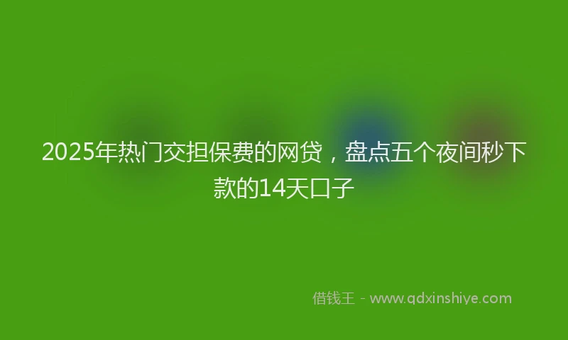 2025年热门交担保费的网贷，盘点五个夜间秒下款的14天口子