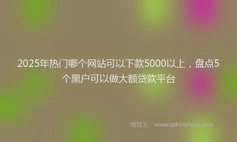 2025年热门哪个网站可以下款5000以上，盘点5个黑户可以做大额贷款平台