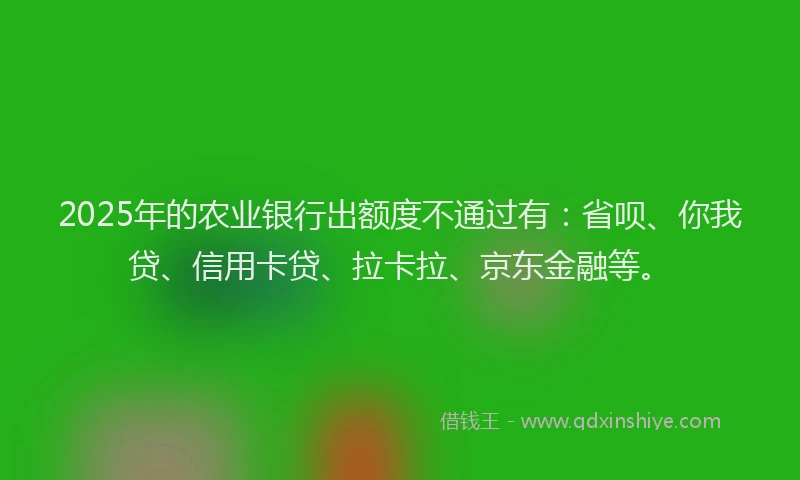 2025年的农业银行出额度不通过有：省呗、你我贷、信用卡贷、拉卡拉、京东金融等。