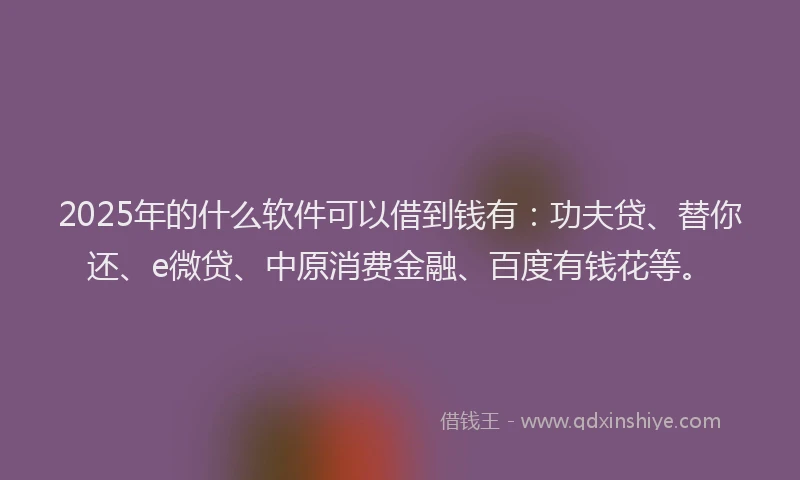 2025年的什么软件可以借到钱有：功夫贷、替你还、e微贷、中原消费金融、百度有钱花等。