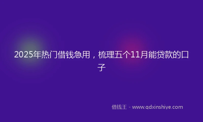 2025年热门借钱急用，梳理五个11月能贷款的口子