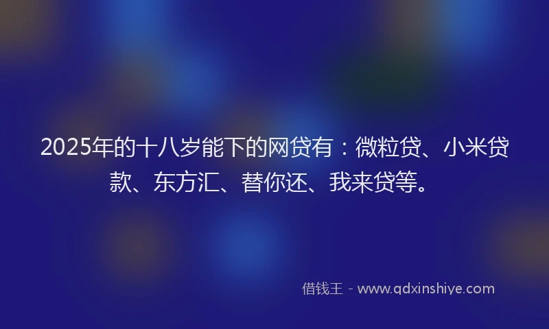 2025年的十八岁能下的网贷有：微粒贷、小米贷款、东方汇、替你还、我来贷等。