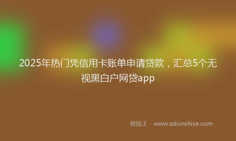 2025年热门凭信用卡账单申请贷款，汇总5个无视黑白户网贷app