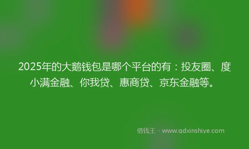 2025年的大鹅钱包是哪个平台的有：投友圈、度小满金融、你我贷、惠商贷、京东金融等。