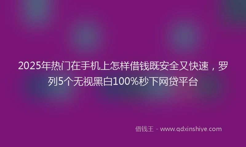 2025年热门在手机上怎样借钱既安全又快速，罗列5个无视黑白100%秒下网贷平台