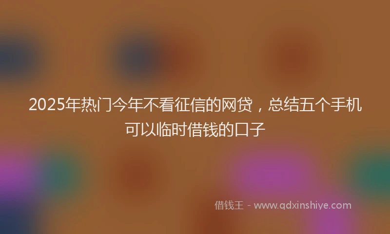 2025年热门今年不看征信的网贷，总结五个手机可以临时借钱的口子
