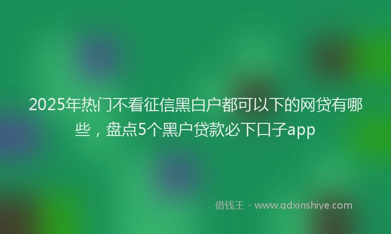 2025年热门不看征信黑白户都可以下的网贷有哪些，盘点5个黑户贷款必下口子app