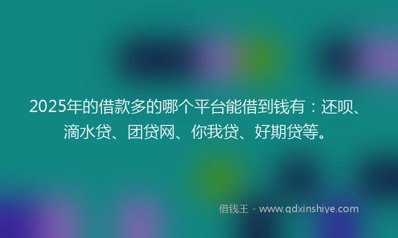 2025年的借款多的哪个平台能借到钱有：还呗、滴水贷、团贷网、你我贷、好期贷等。