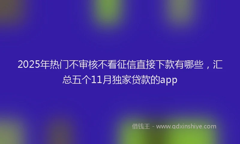 2025年热门不审核不看征信直接下款有哪些，汇总五个11月独家贷款的app