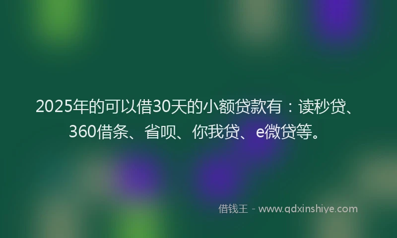 2025年的可以借30天的小额贷款有：读秒贷、360借条、省呗、你我贷、e微贷等。