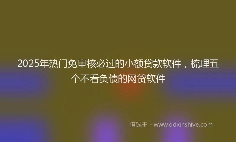 2025年热门免审核必过的小额贷款软件，梳理五个不看负债的网贷软件