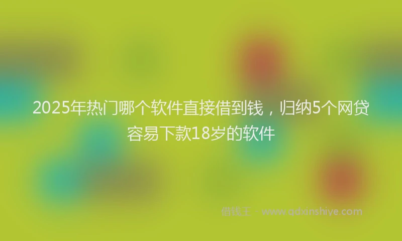 2025年热门哪个软件直接借到钱，归纳5个网贷容易下款18岁的软件
