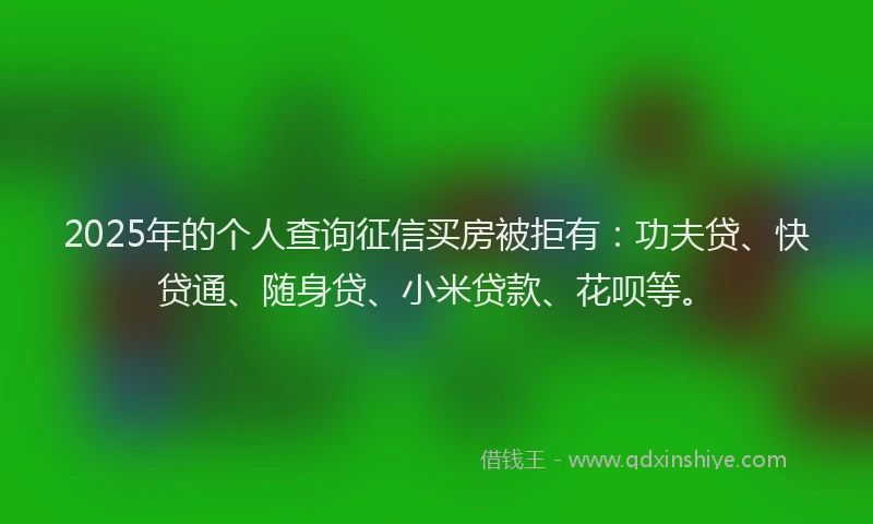 2025年的个人查询征信买房被拒有：功夫贷、快贷通、随身贷、小米贷款、花呗等。