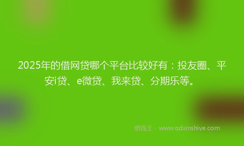 2025年的借网贷哪个平台比较好有：投友圈、平安i贷、e微贷、我来贷、分期乐等。