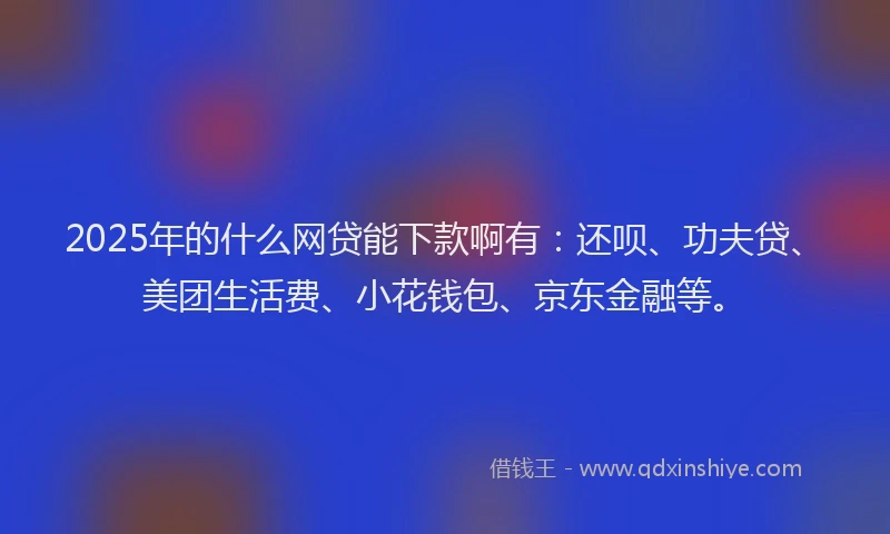 2025年的什么网贷能下款啊有：还呗、功夫贷、美团生活费、小花钱包、京东金融等。