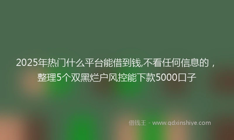 2025年热门什么平台能借到钱,不看任何信息的，整理5个双黑烂户风控能下款5000口子