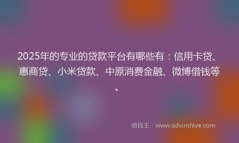 2025年的专业的贷款平台有哪些有：信用卡贷、惠商贷、小米贷款、中原消费金融、微博借钱等。