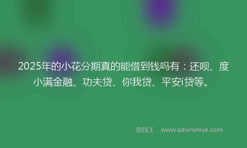 2025年的小花分期真的能借到钱吗有：还呗、度小满金融、功夫贷、你我贷、平安i贷等。