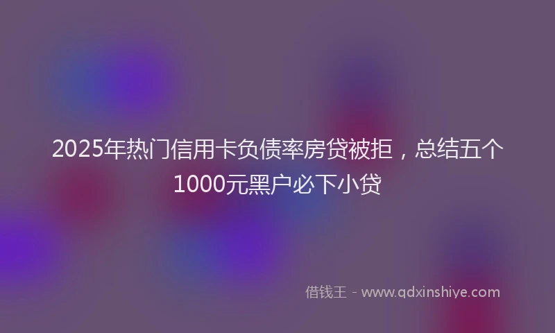 2025年热门信用卡负债率房贷被拒，总结五个1000元黑户必下小贷