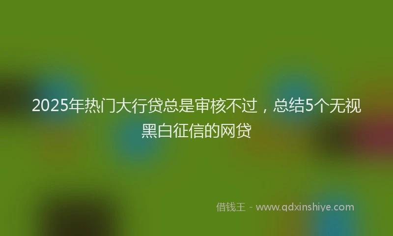 2025年热门大行贷总是审核不过，总结5个无视黑白征信的网贷