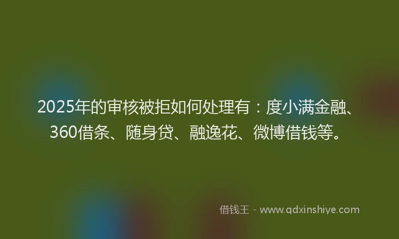 2025年的审核被拒如何处理有：度小满金融、360借条、随身贷、融逸花、微博借钱等。
