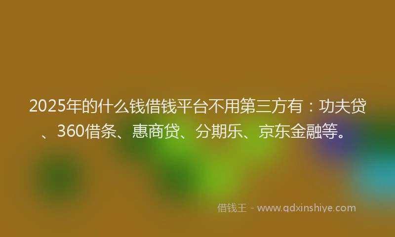 2025年的什么钱借钱平台不用第三方有：功夫贷、360借条、惠商贷、分期乐、京东金融等。