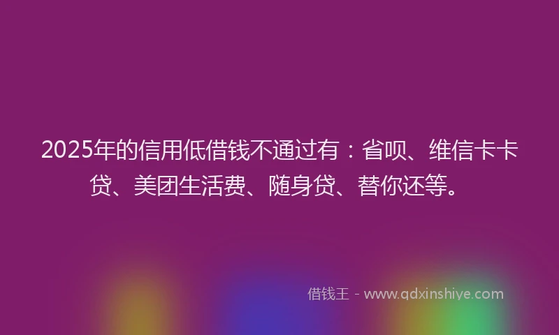 2025年的信用低借钱不通过有：省呗、维信卡卡贷、美团生活费、随身贷、替你还等。