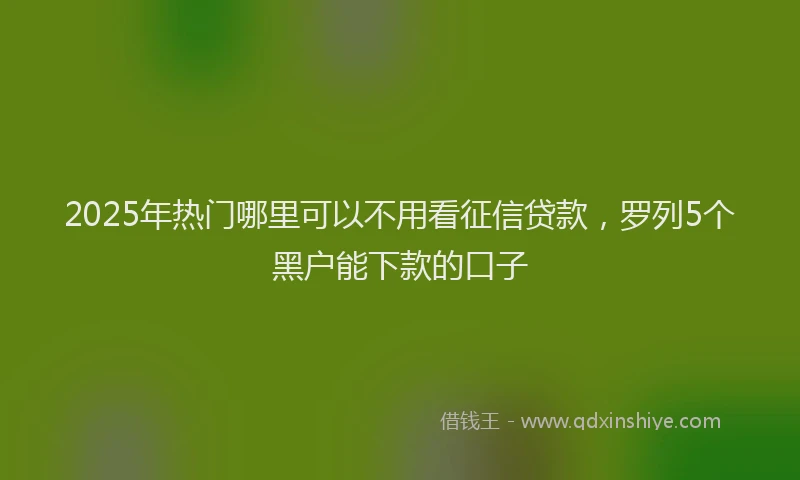 2025年热门哪里可以不用看征信贷款，罗列5个黑户能下款的口子